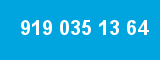 919 035 13 64